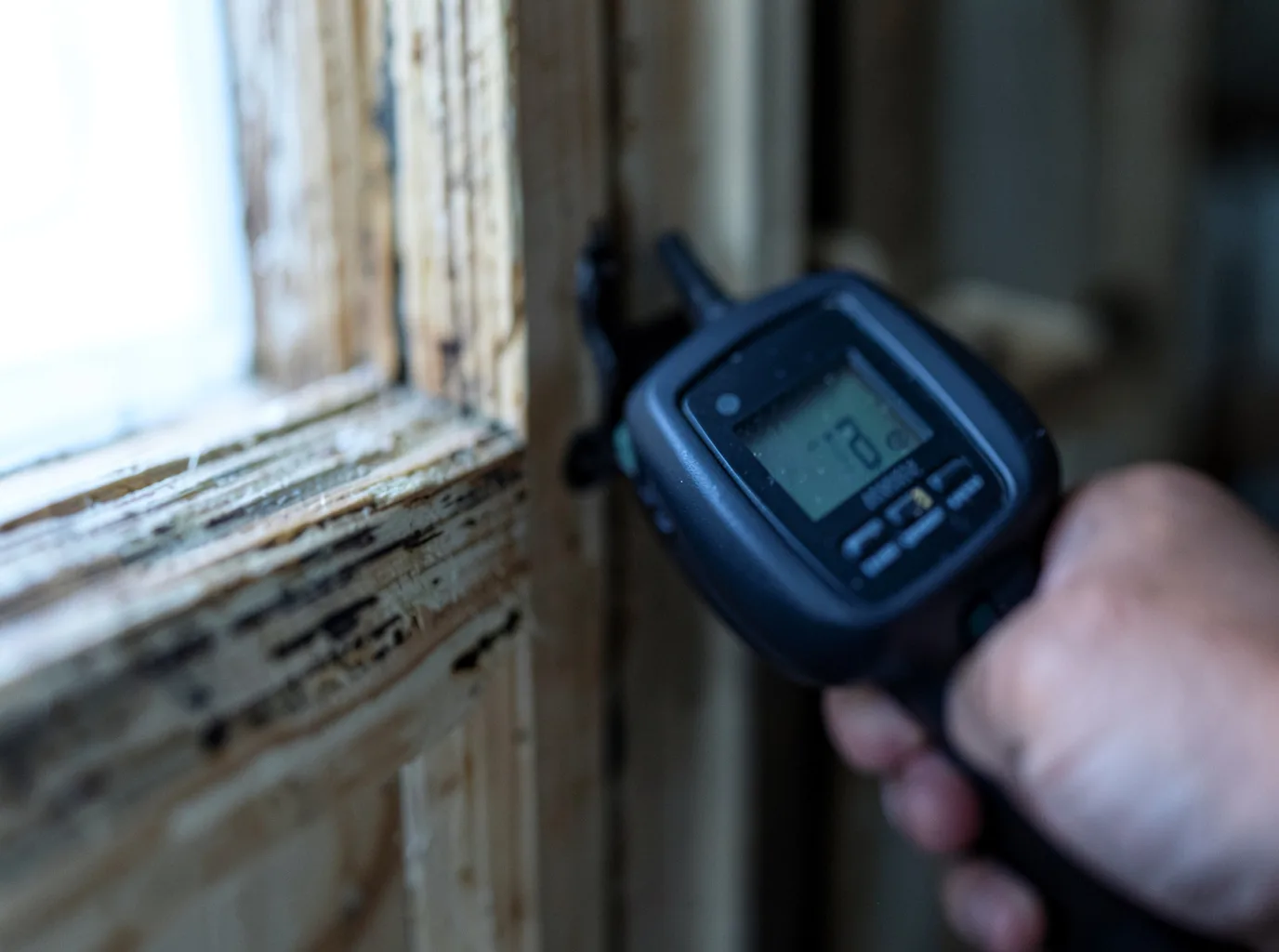 Moisture Inspection And Documentation in Oconto Falls, WI